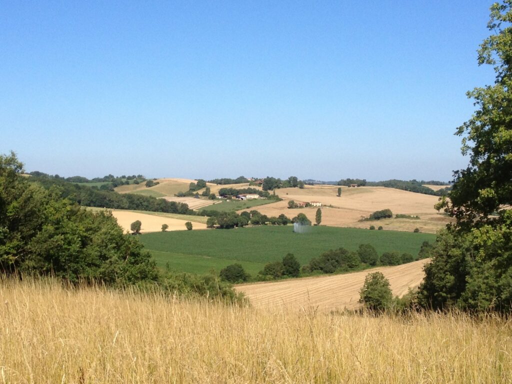 JUI Paysage ccbvg