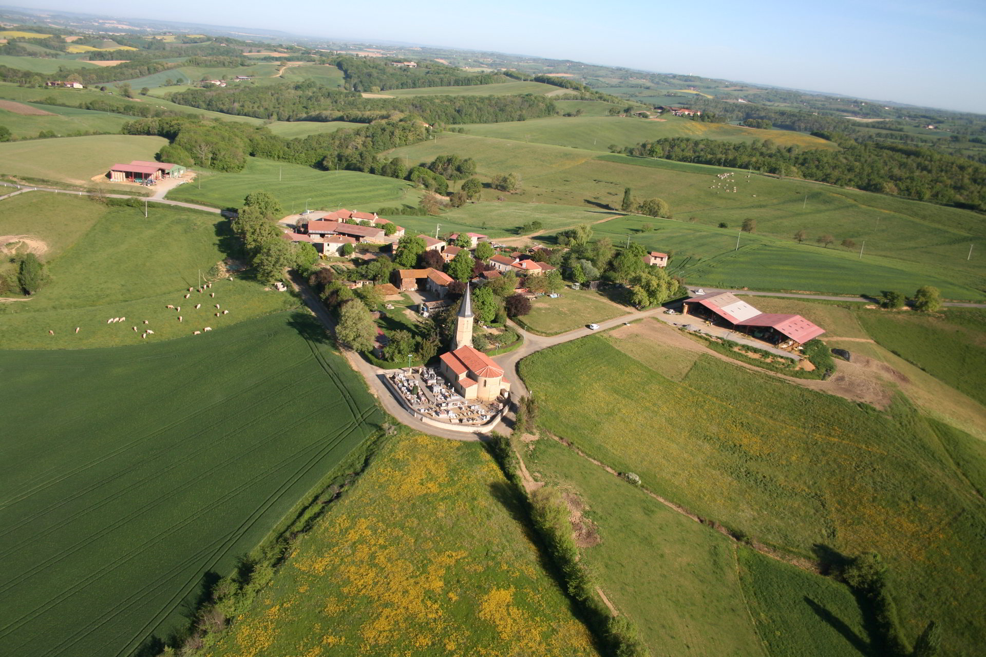 Laveraët