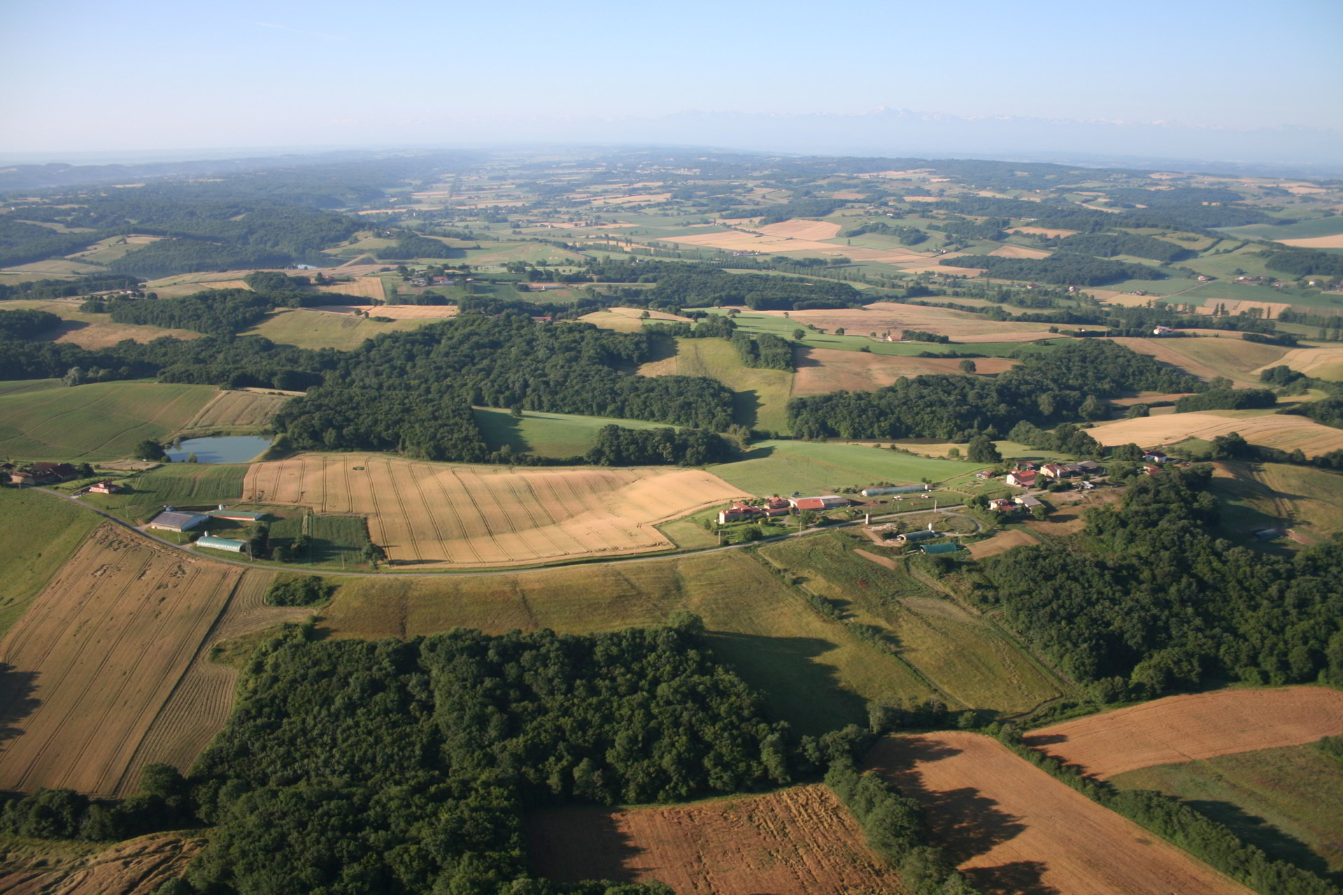 Pallanne