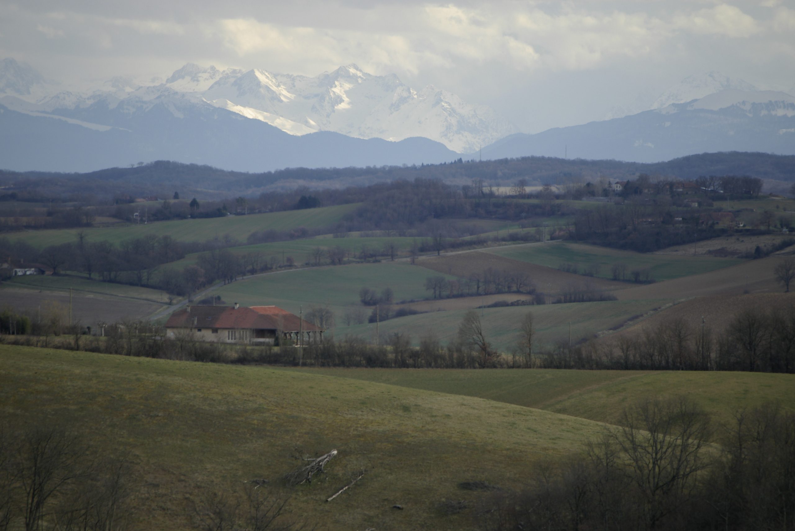 LAV Paysage et Pyrénées  (2) ccbvg